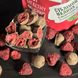 Raspberries freeze-dried in milk chocolate